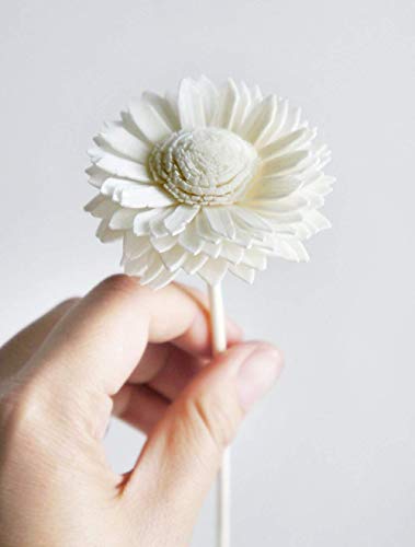 10 White Daisy Sola Flower Diffuser Set for Home Fragrance