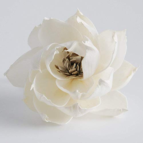 5 Peony Reed Diffuser Set for Home Fragrance