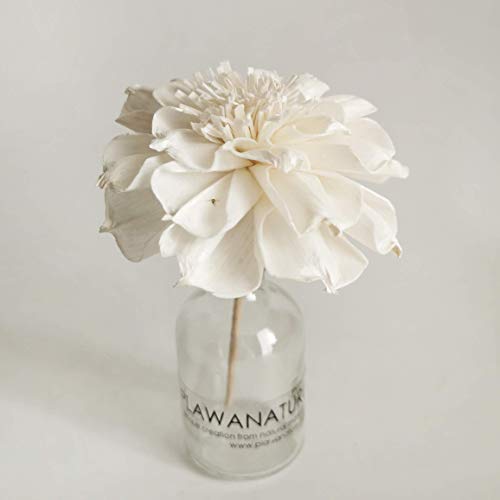 5 Sola Flower Reed Diffuser Set for Home Fragrance