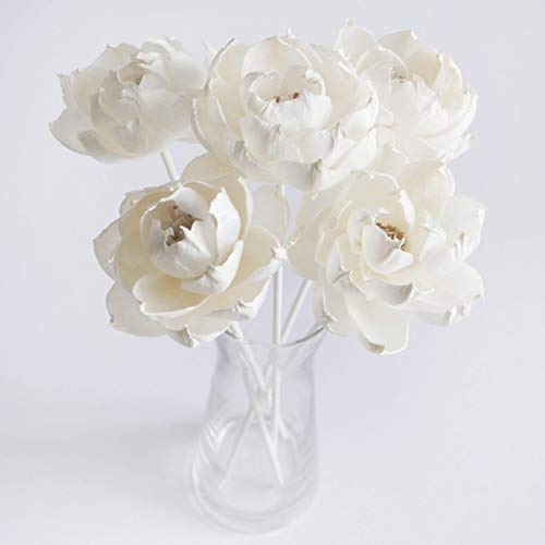 5 Peony Reed Diffuser Set for Home Fragrance