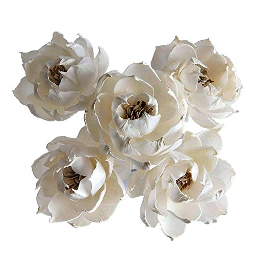 5 Peony Reed Diffuser Set for Home Fragrance