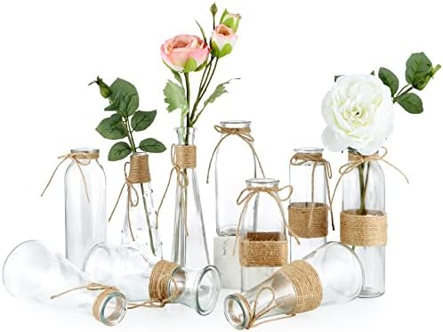 MDLUU Clear Glass Bud Vase Set 10Pcs Assorted