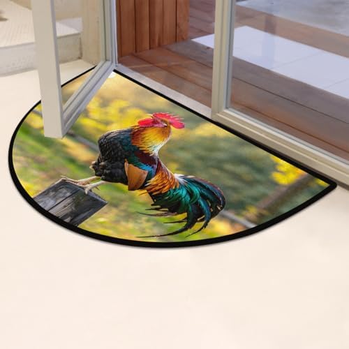 Cemfyzoch Half Round Doormat Non-Slip Washable