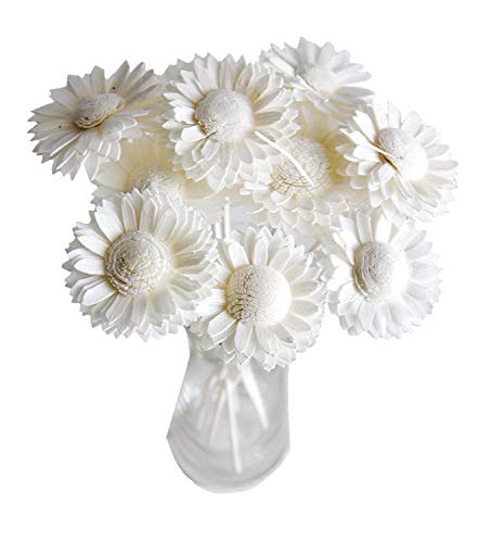 10 White Daisy Sola Flower Diffuser Set for Home Fragrance