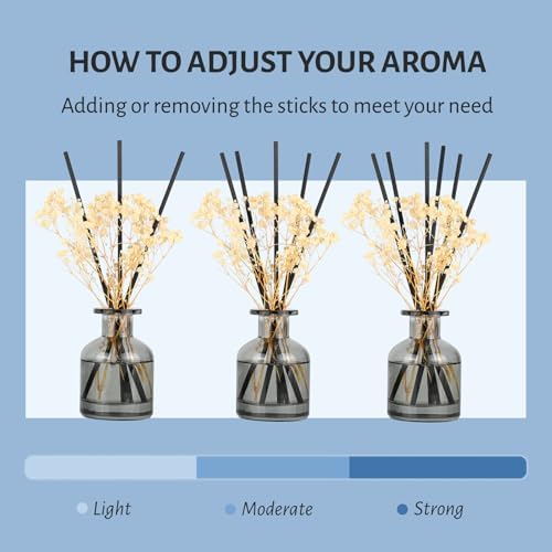 Brakula 2 Pack Reed Diffuser with 12 Sticks