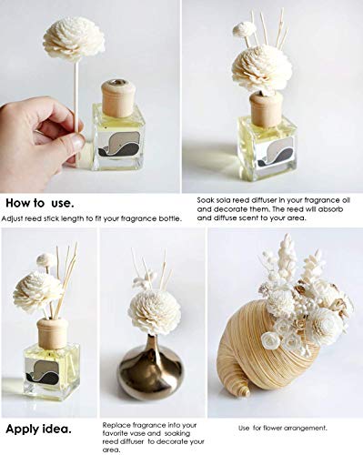 10 White Daisy Sola Flower Diffuser Set for Home Fragrance
