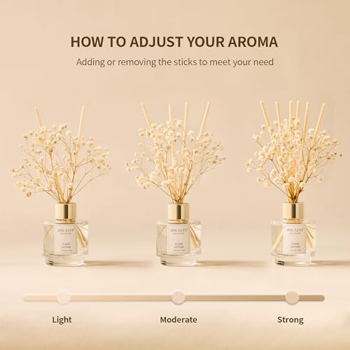 Airkeep Reed Diffuser Set of 3 for Home Aromatherapy