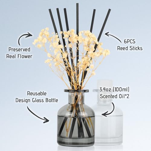Brakula 2 Pack Reed Diffuser with 12 Sticks
