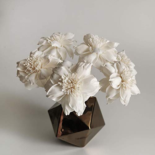 5 Sola Flower Reed Diffuser Set for Home Fragrance