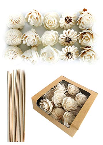 DIY Sola Flower Diffuser Set with Reed Sticks