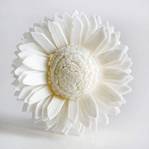 10 White Daisy Sola Flower Diffuser Set for Home Fragrance
