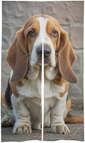 Basset Hound Door Cover Curtain 57x17 Inches