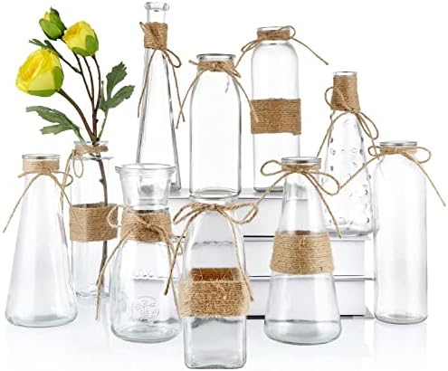 MDLUU Clear Glass Bud Vase Set 10Pcs Assorted