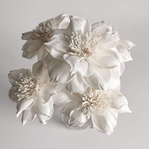5 Sola Flower Reed Diffuser Set for Home Fragrance