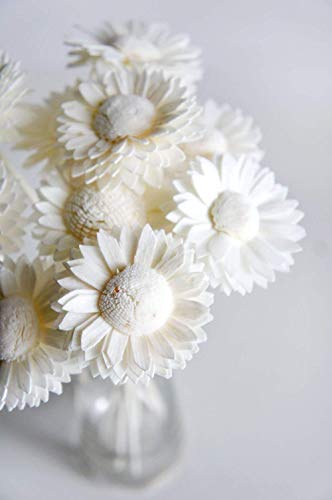 10 White Daisy Sola Flower Diffuser Set for Home Fragrance