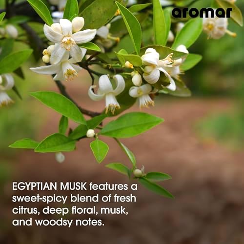 AROMAR Premium Fragrance Oil Egyptian Musk 8oz