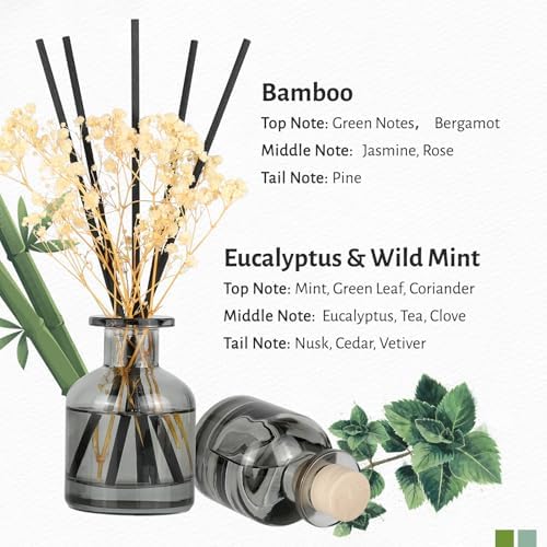 Brakula 2 Pack Reed Diffuser with 12 Sticks