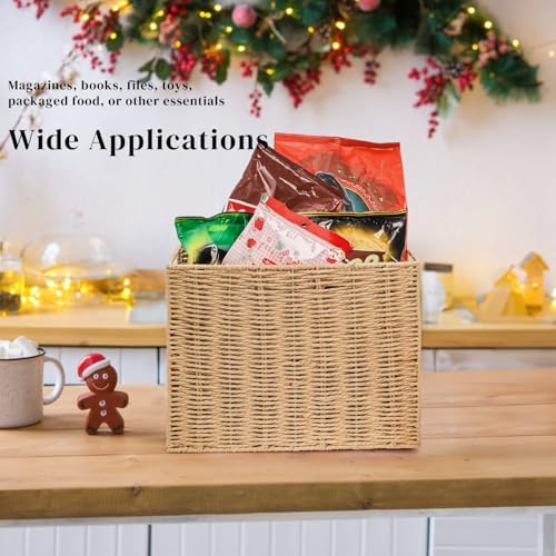 Nagpew Woven Magazine Holder with Handles