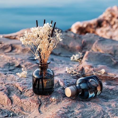 Brakula 2 Pack Reed Diffuser with 12 Sticks