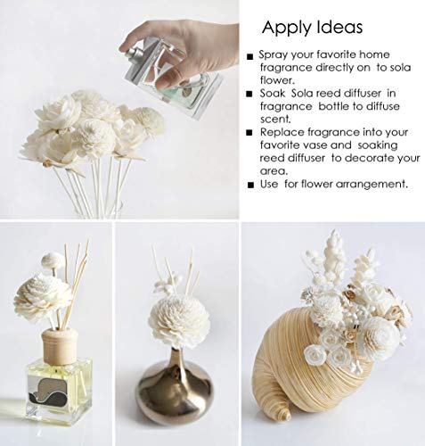 DIY Sola Flower Diffuser Set with Reed Sticks