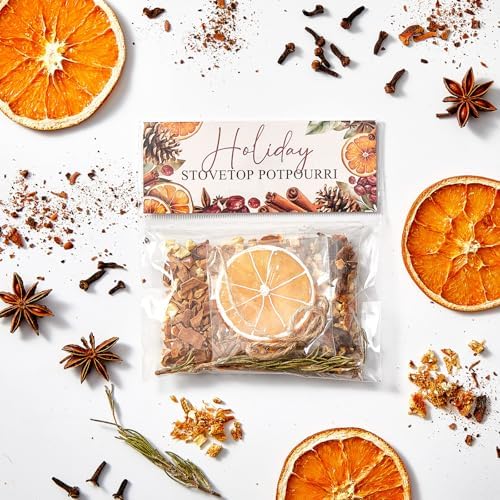 6 Pack Potpourri Simmer Pot Kit - Holiday Scent Stocking Stuffer Gifts