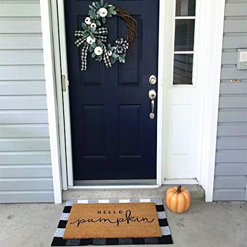 LEVINIS Outdoor Doormat Durable Machine Washable