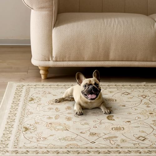 Evergrace 2x3 Area Rug Boho Floral Faux Wool Natural Beige