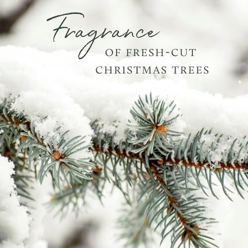 Thymes Frasier Fir Room Spray - 375 Oz