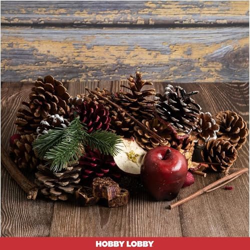 Hobby Lobby Spiced Cinnamon Potpourri 16 oz