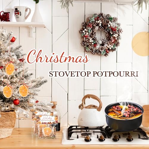 6 Pack Potpourri Simmer Pot Kit - Holiday Scent Stocking Stuffer Gifts