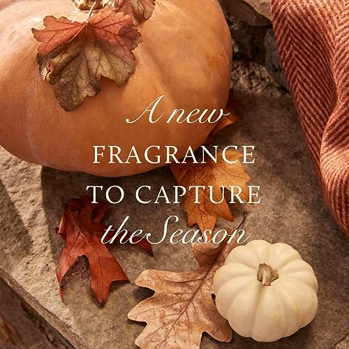 Thymes Pumpkin Laurel Reed Diffuser Oil Refill - Fall Aromatherapy Oil