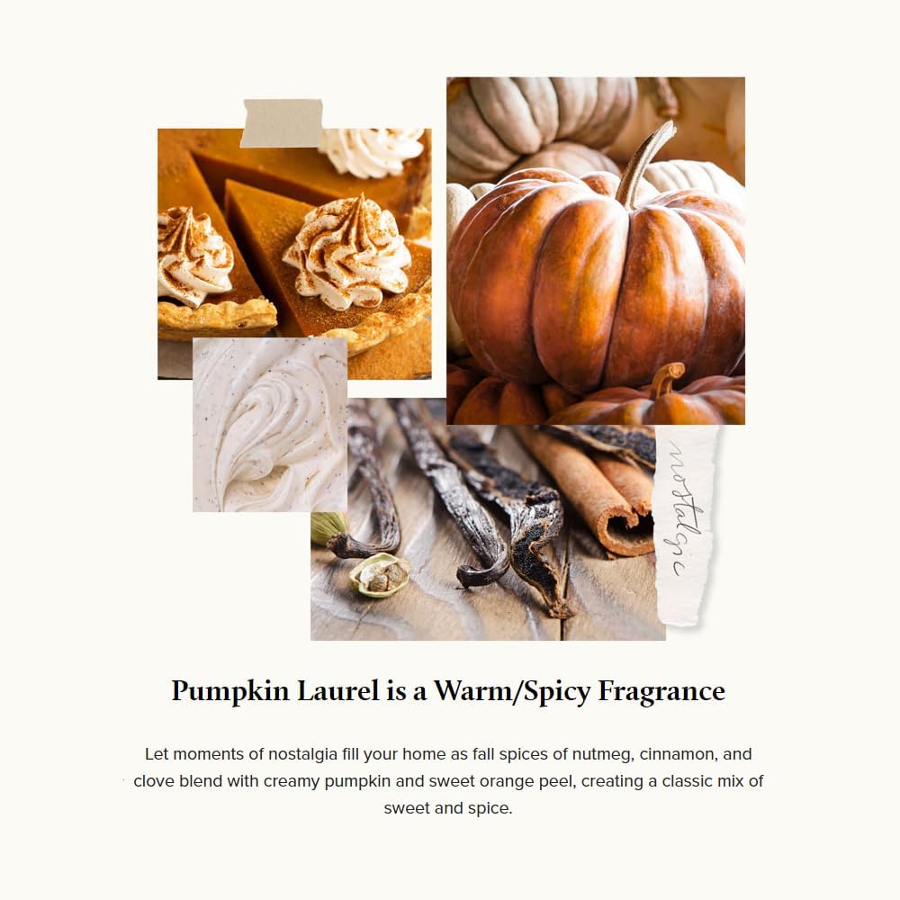 Thymes Pumpkin Laurel Reed Diffuser Oil Refill - Fall Aromatherapy Oil