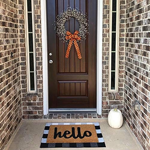 LEVINIS Outdoor Doormat Durable Machine Washable