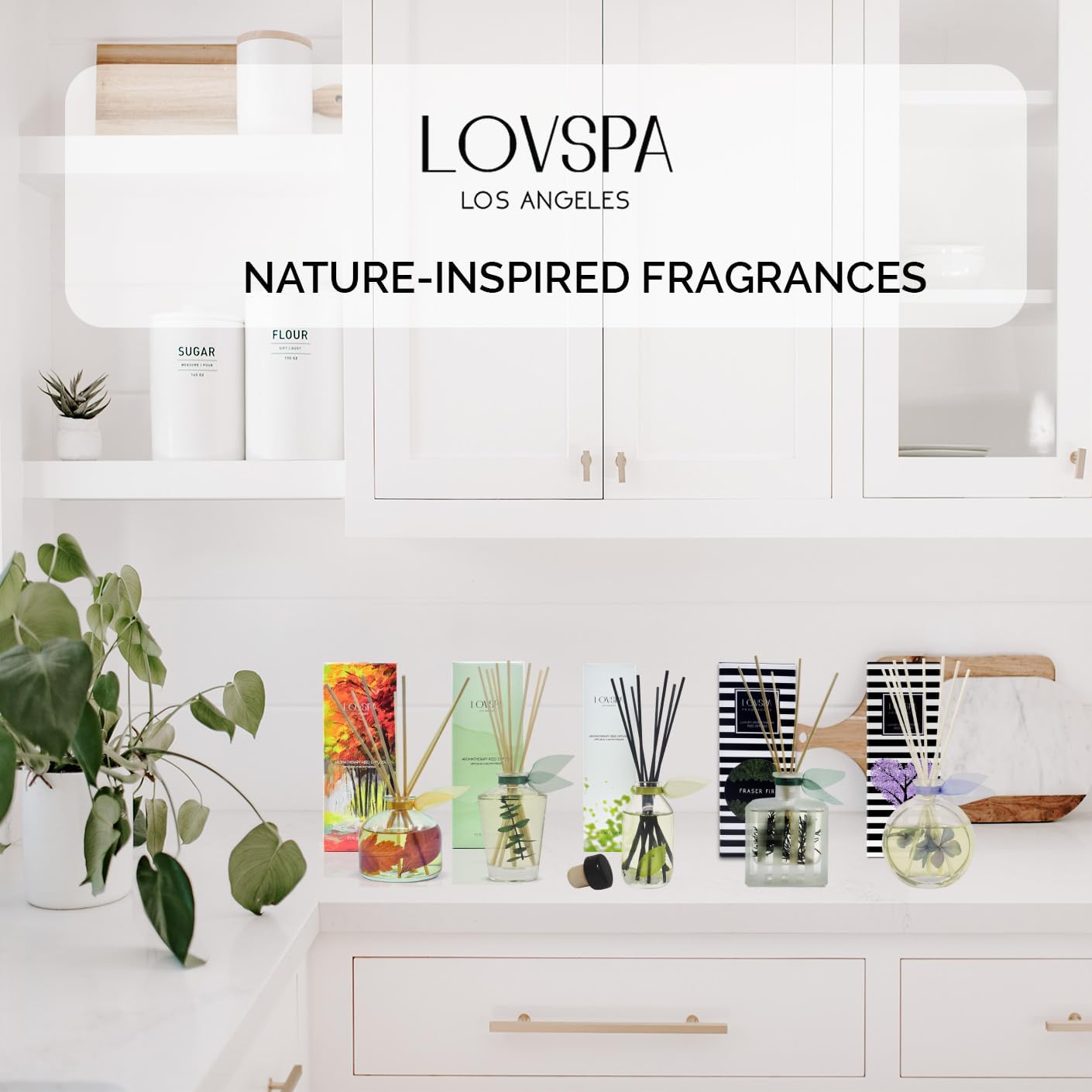 LOVSPA Santal Sandalwood Reed Diffuser Oil Refill 4oz