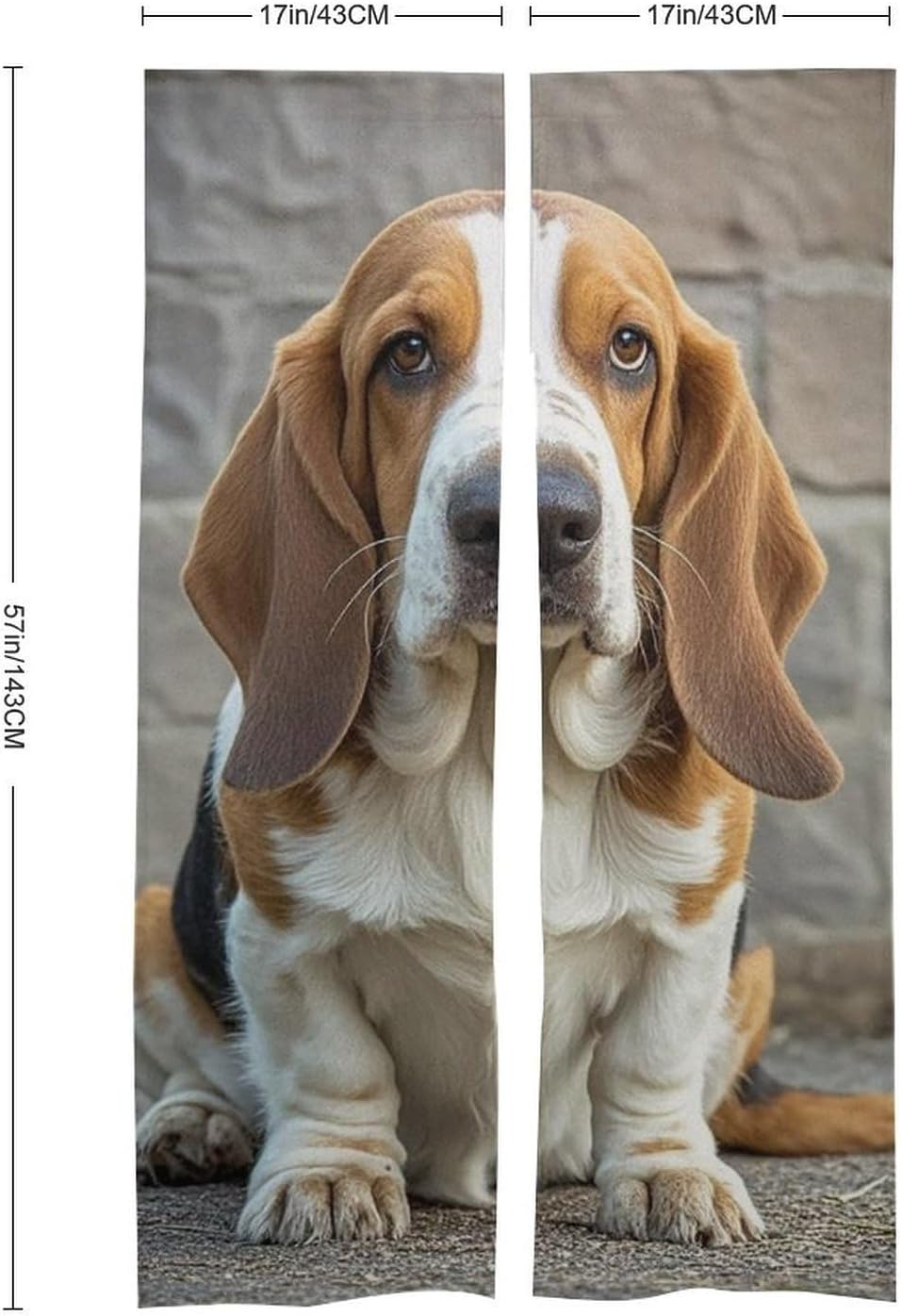 Basset Hound Door Cover Curtain 57x17 Inches