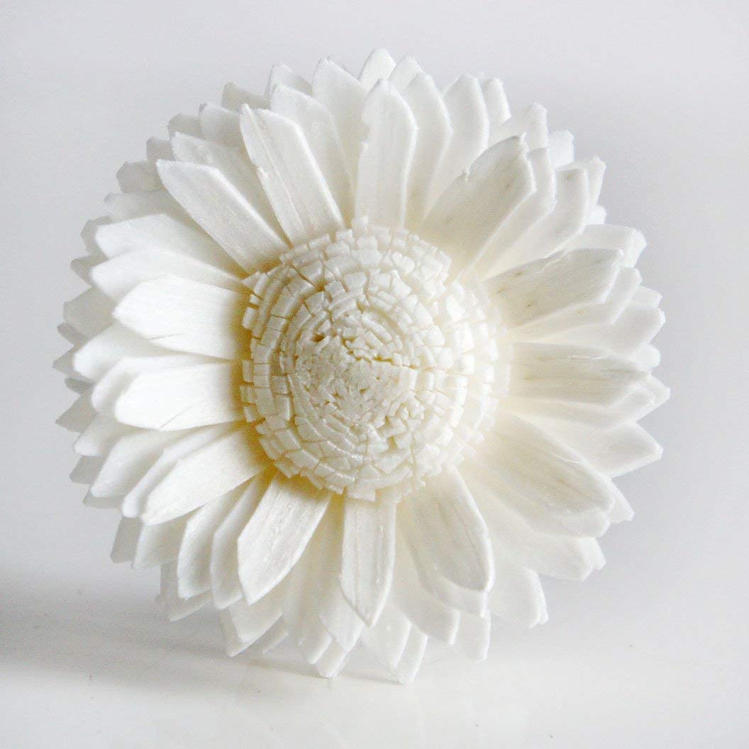 10 White Daisy Sola Flower Diffuser Set for Home Fragrance