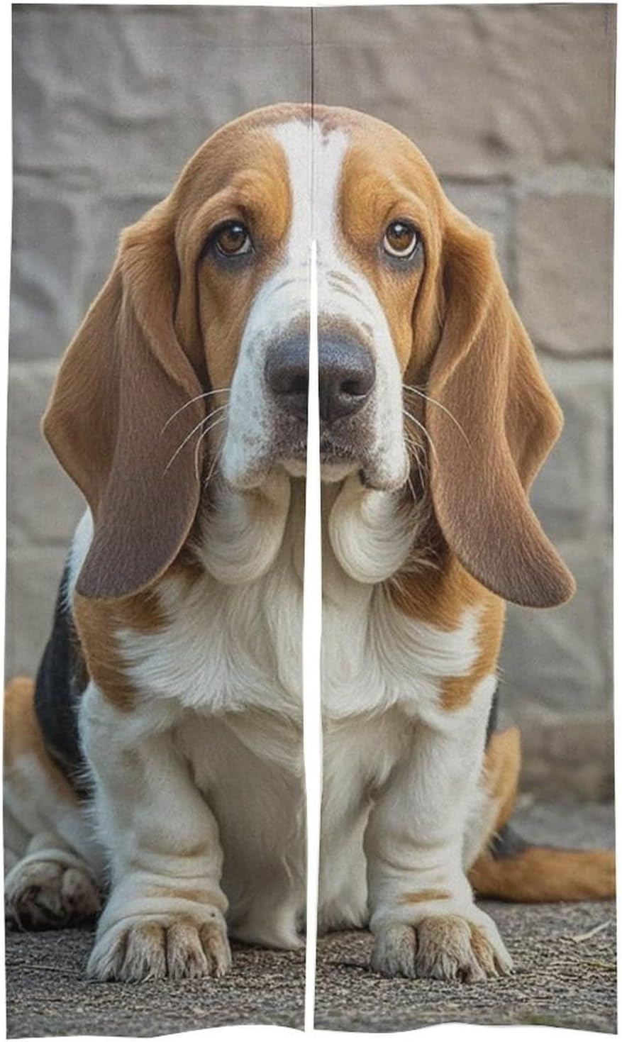Basset Hound Door Cover Curtain 57x17 Inches