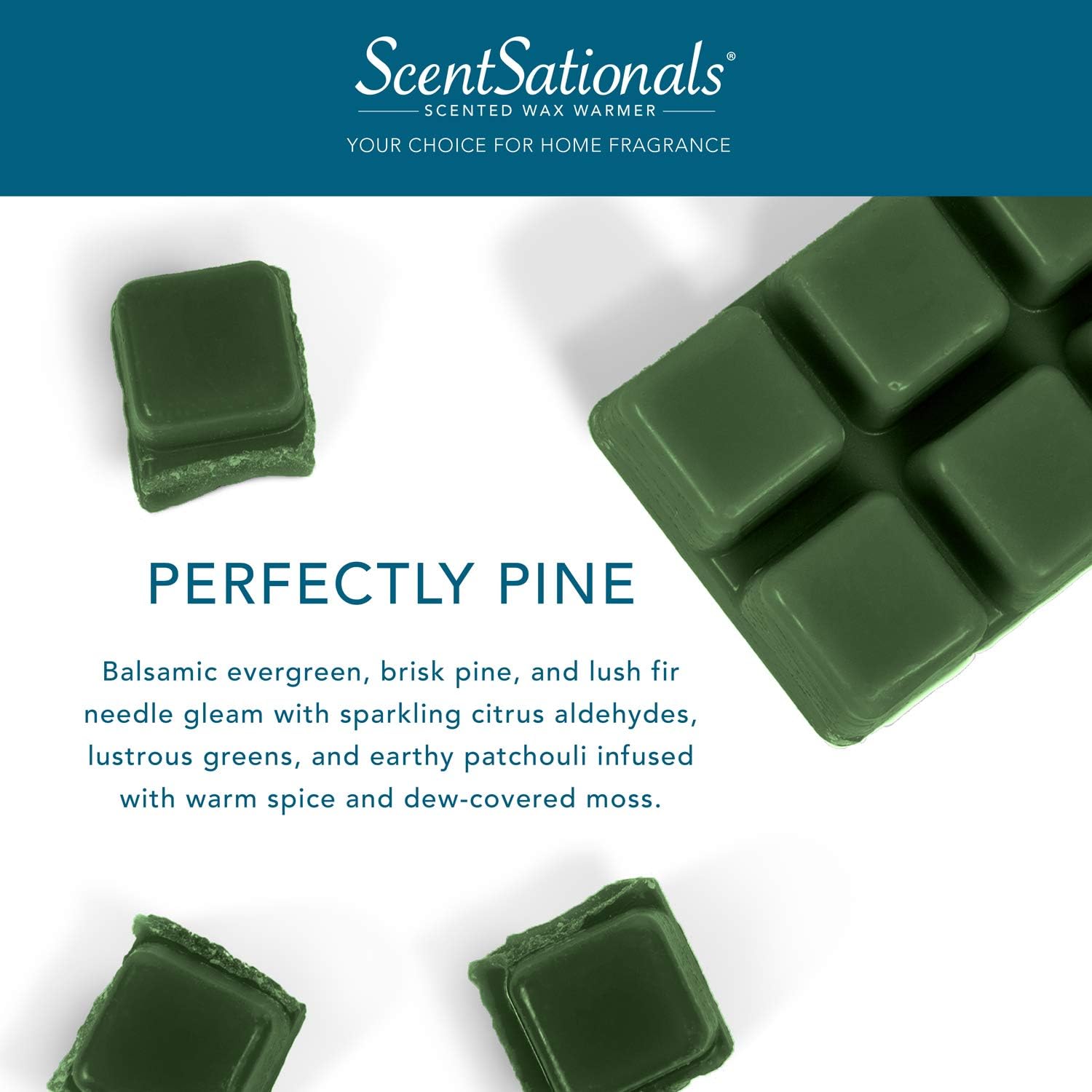 Scentsationals Wax Melts - Perfectly Pine Scented Fragrance - 24 Cubes Pack