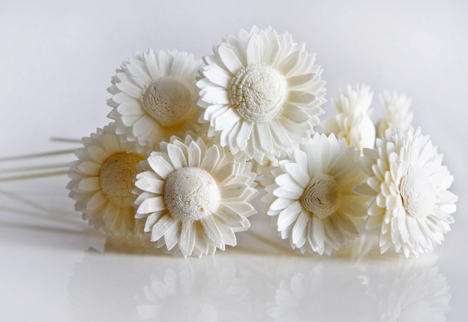 10 White Daisy Sola Flower Diffuser Set for Home Fragrance