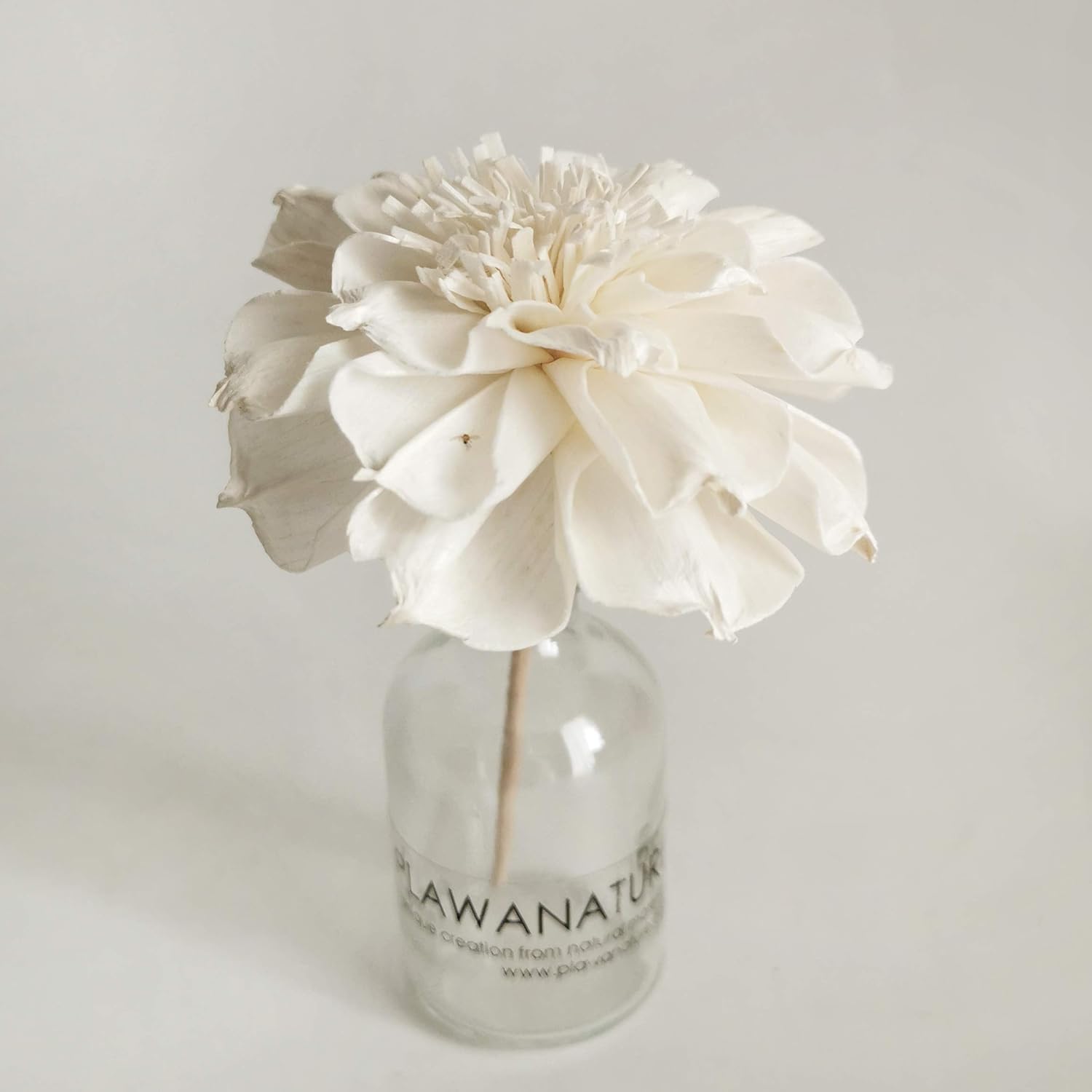 5 Sola Flower Reed Diffuser Set for Home Fragrance