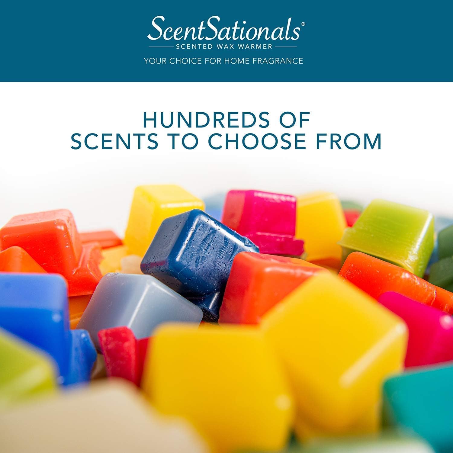 Scentsationals Wax Melts - Perfectly Pine Scented Fragrance - 24 Cubes Pack