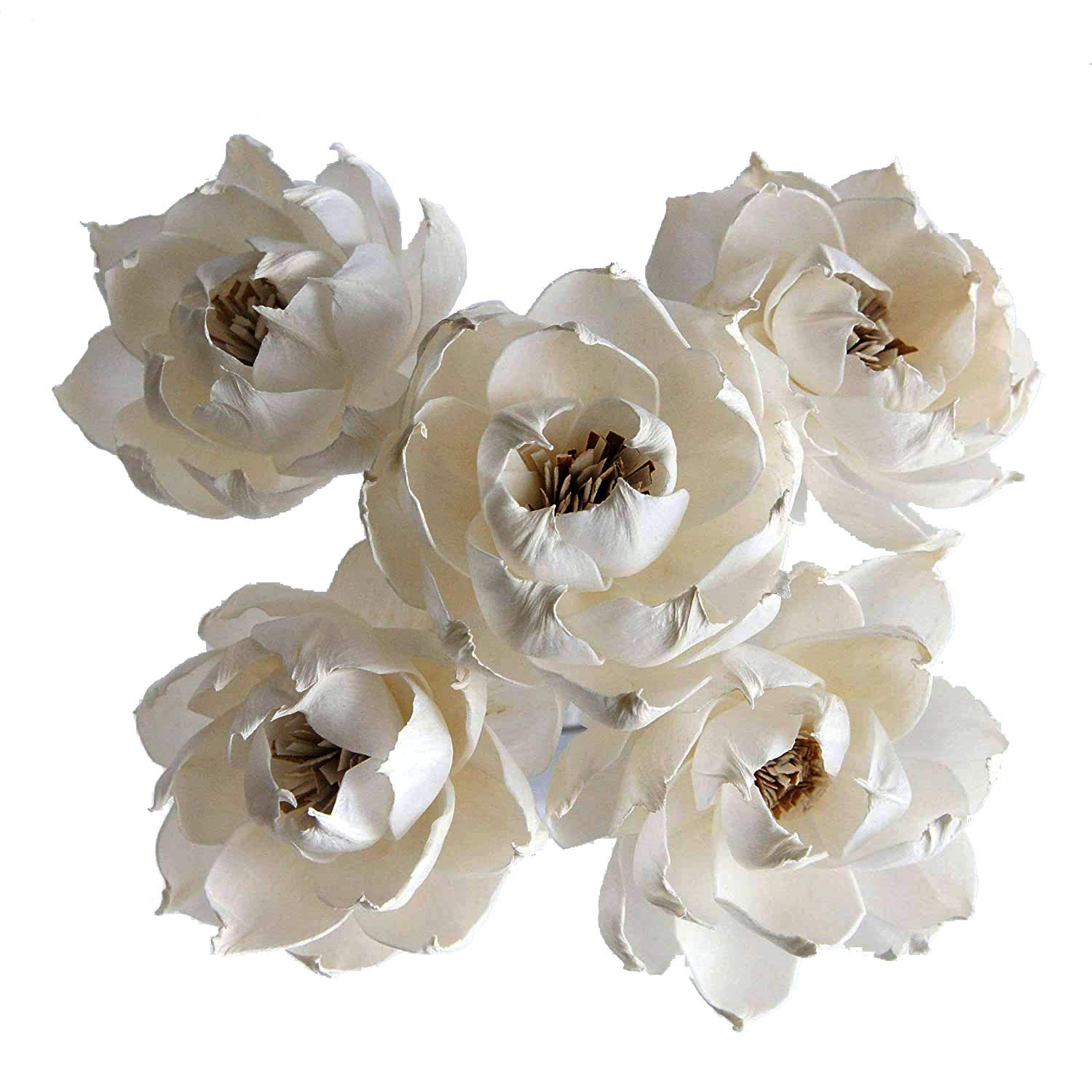 5 Peony Reed Diffuser Set for Home Fragrance