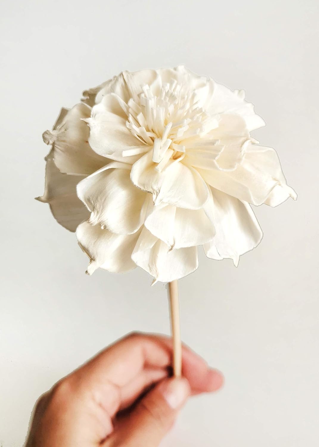 5 Sola Flower Reed Diffuser Set for Home Fragrance