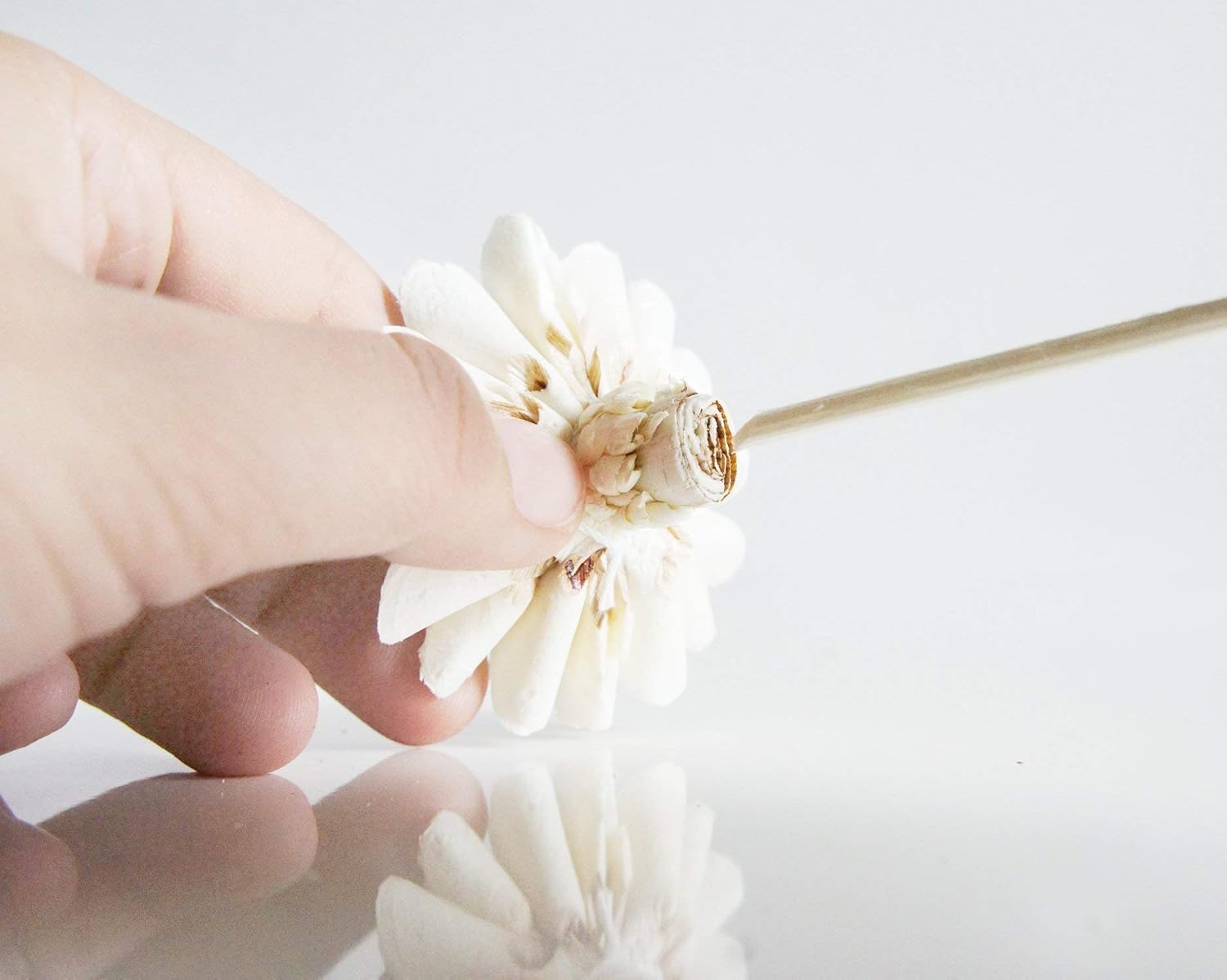 DIY Sola Flower Diffuser Set with Reed Sticks