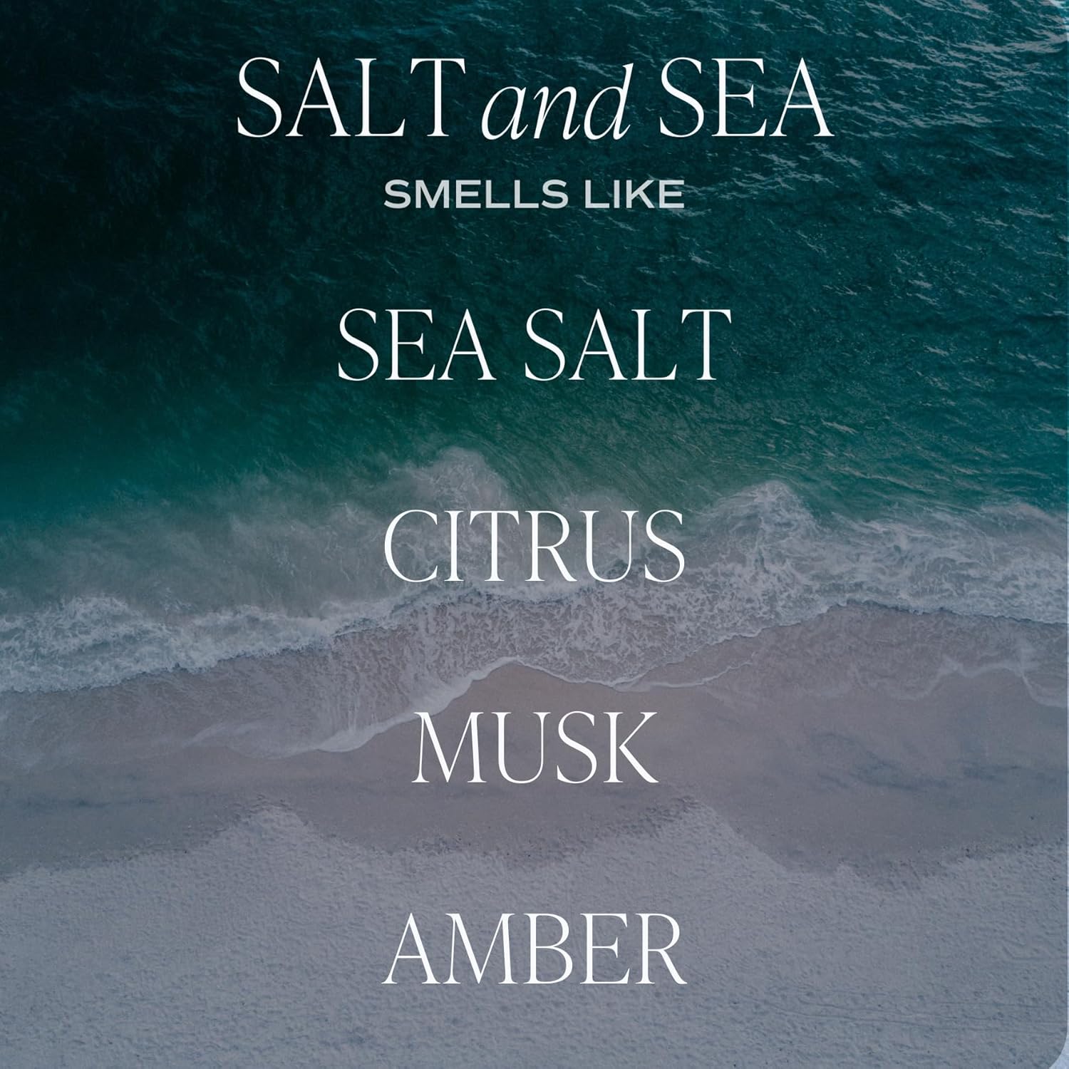Sweet Water Decor Salt Sea Reed Diffuser - 4 Month Fragrance