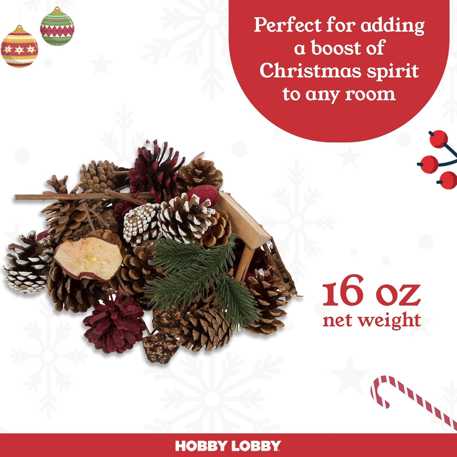 Hobby Lobby Spiced Cinnamon Potpourri 16 oz