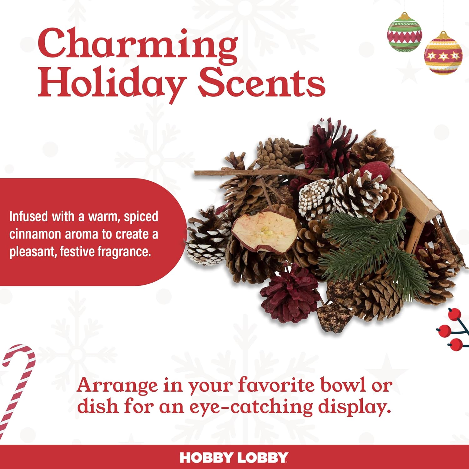 Hobby Lobby Spiced Cinnamon Potpourri 16 oz