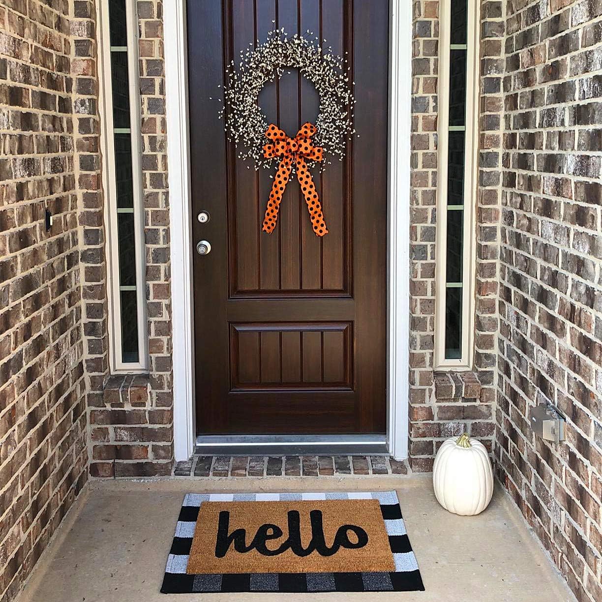 LEVINIS Outdoor Doormat Durable Machine Washable