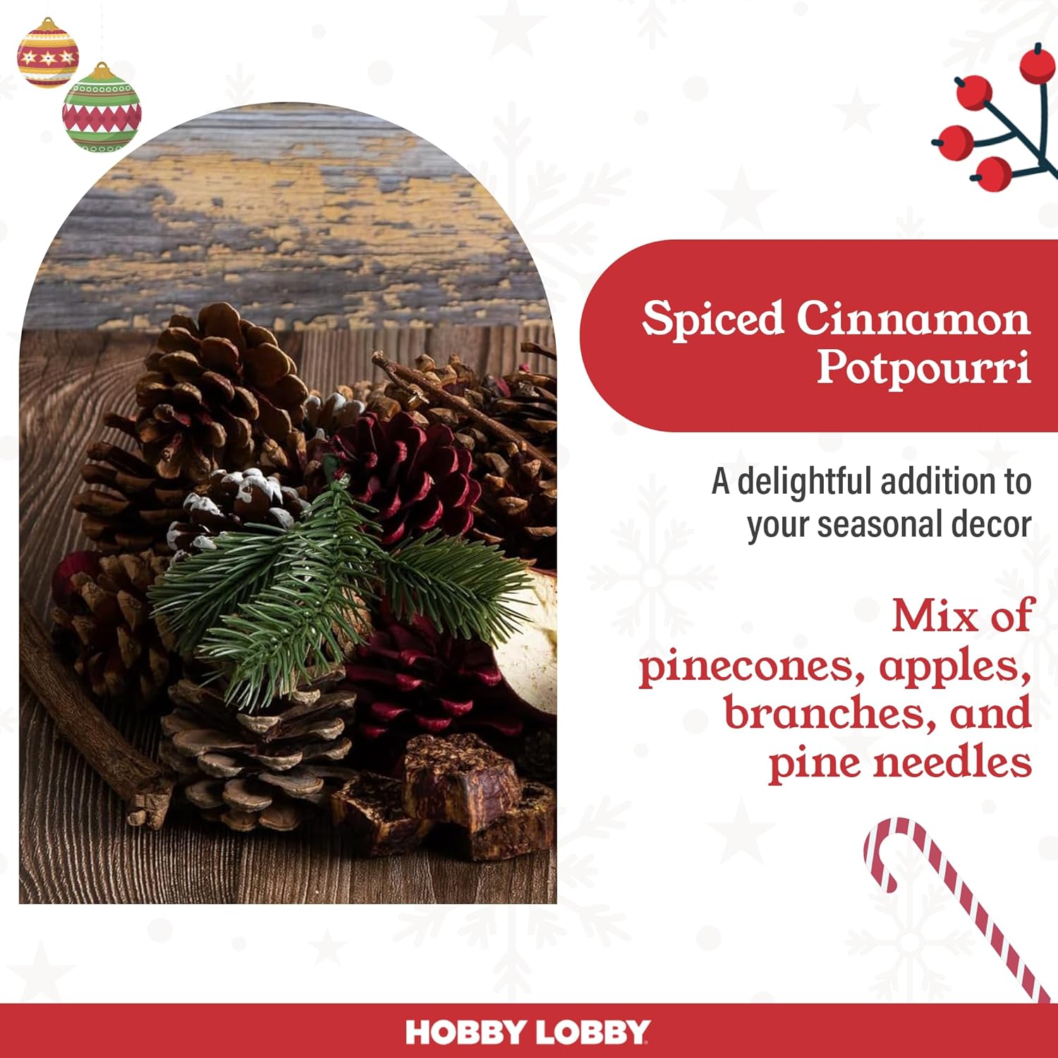 Hobby Lobby Spiced Cinnamon Potpourri 16 oz